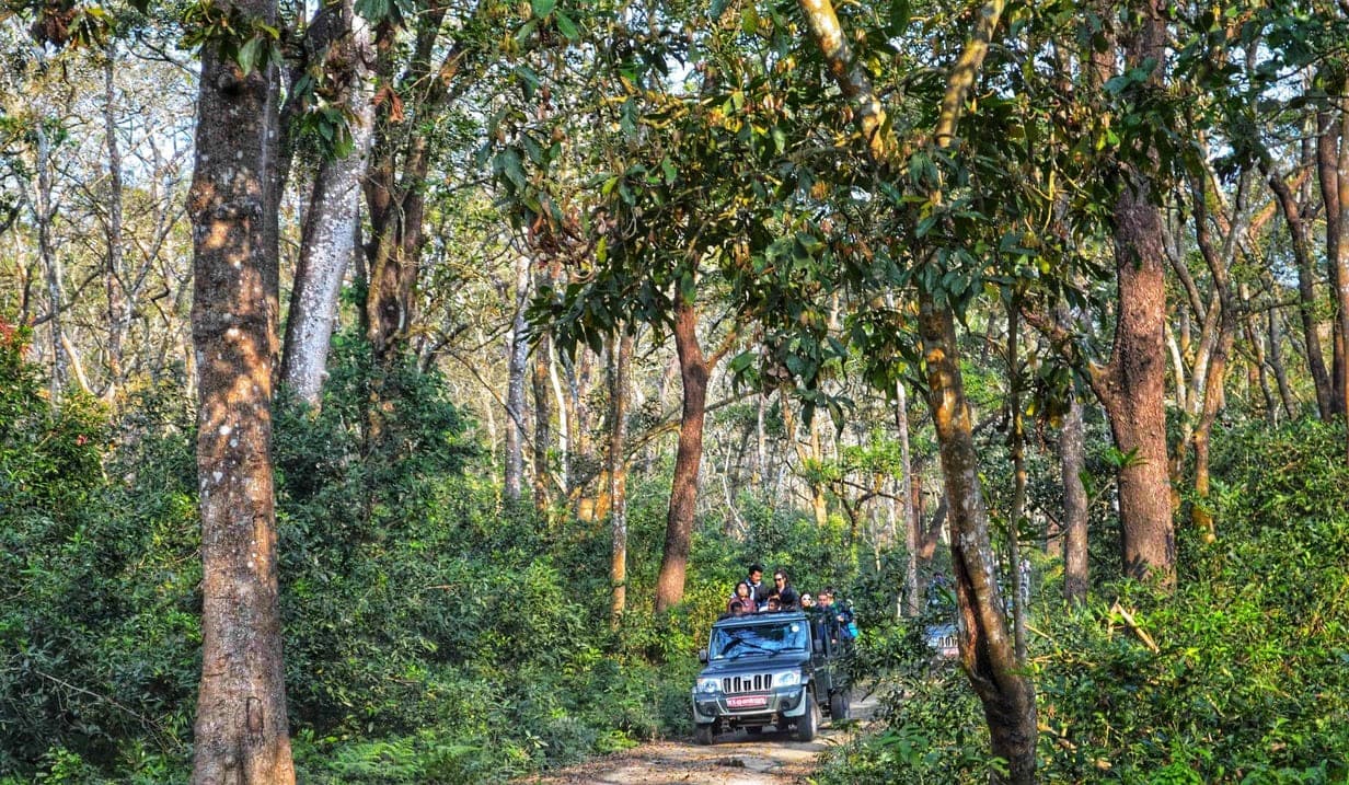 top things to do in chitwan