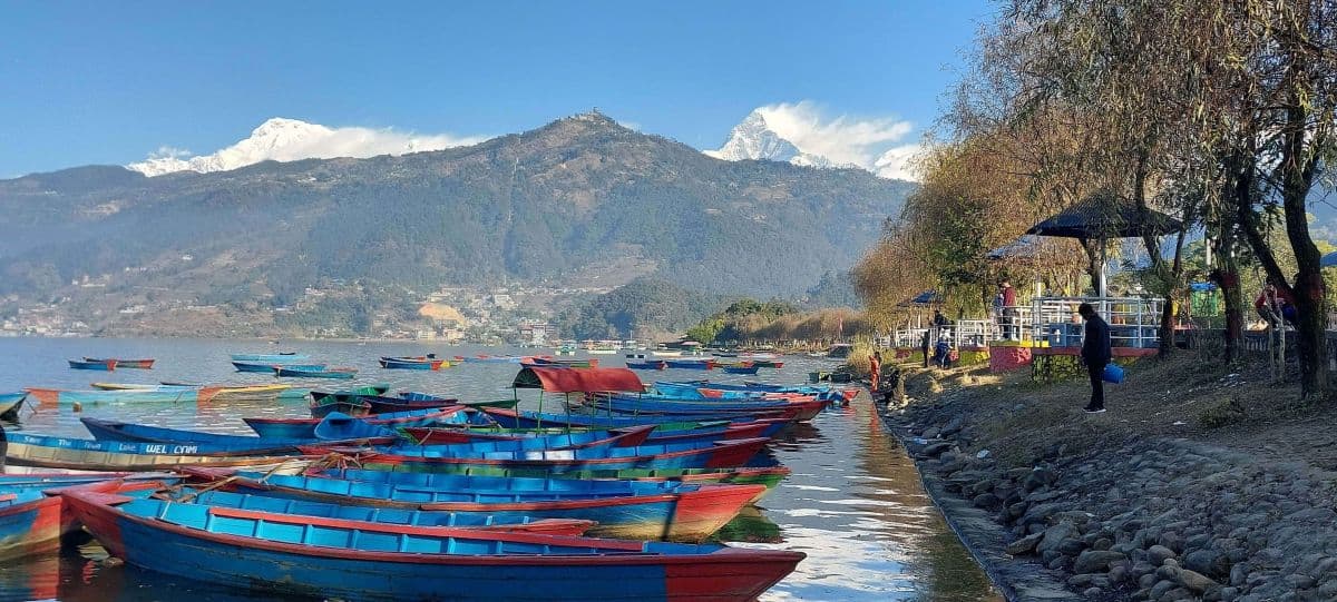 Colorful boats lined up at Phewa Lake shoreline