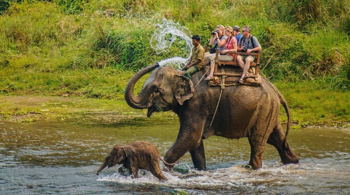 Elephant Ride Cost in Chitwan