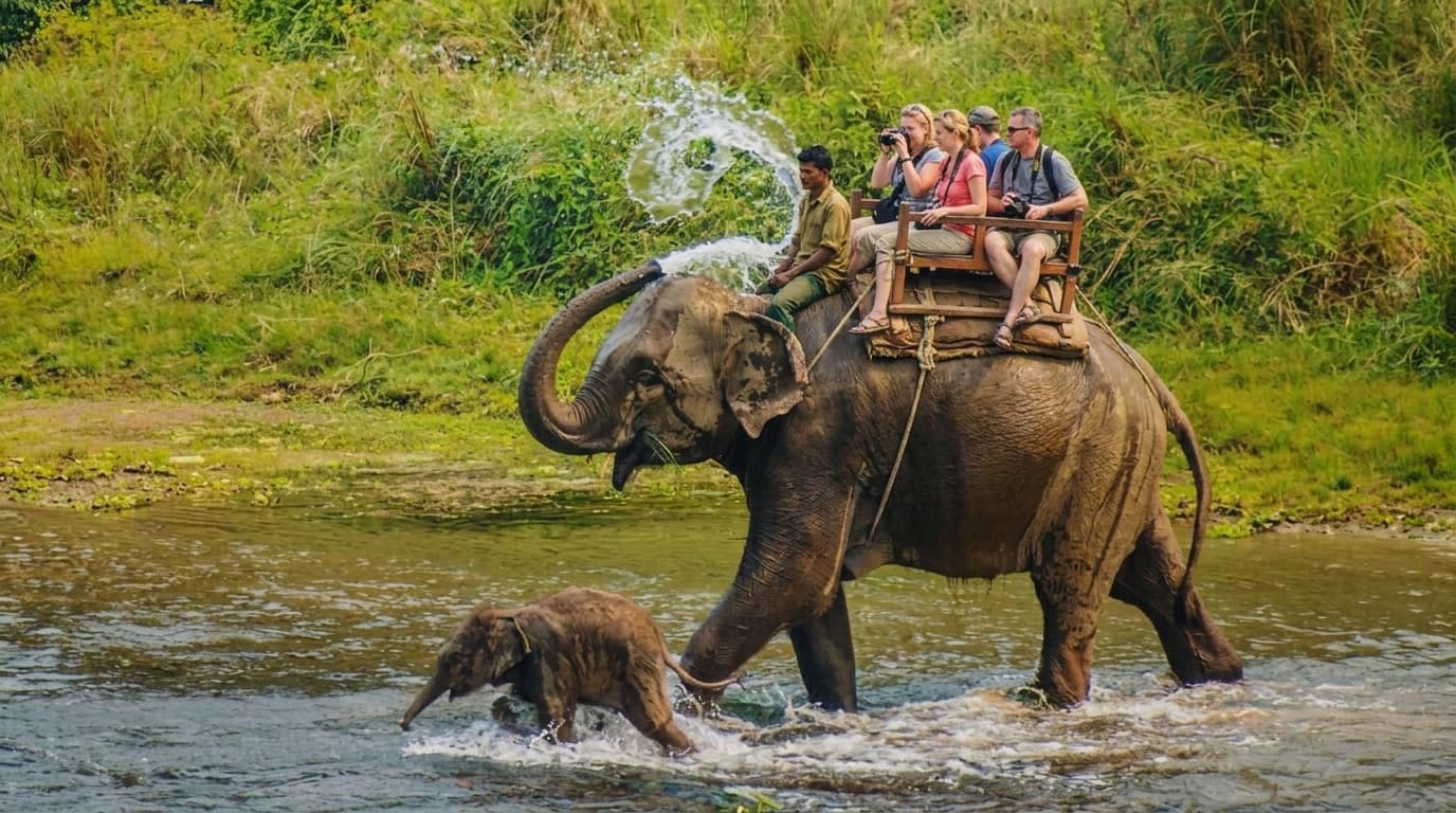 Elephant Ride Cost in Chitwan