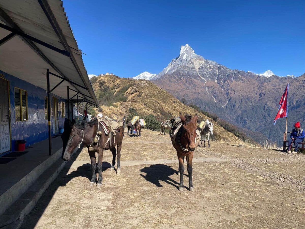 Eco-friendly trekking in Mardi Himal region