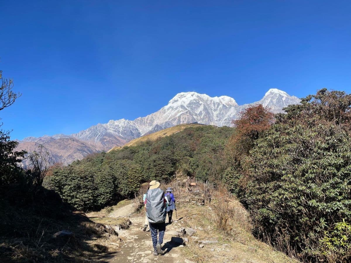 Trekking trail to Mardi Himal